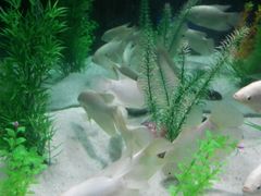 -洛阳龙门海洋馆