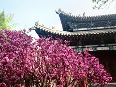 -碑林公园