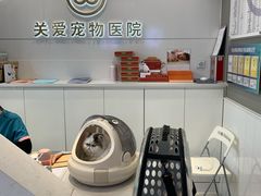 -关爱宠物医院·猫科中心·消化科(滨湖万达分院)