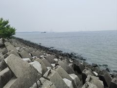 -上海滨江森林公园