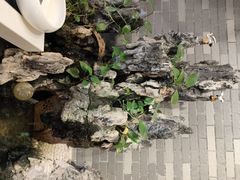 -粤点越有·茶点·粤菜(樵岭国际店)