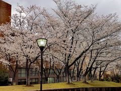 -浙江大学(玉泉校区)
