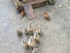 -呀诺达热带雨林