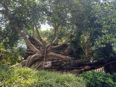 -老宅原住民沙茶面精品小吃(龙头路店)