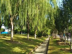 -永定河休闲森林公园