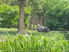 -上海野生动物园