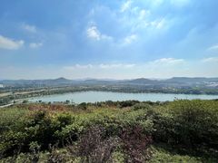 -羊山湖公园