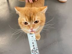 -松松咖啡