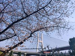-上海南浦大桥长途旅游客运站