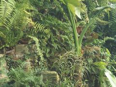 -国家植物园南园