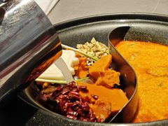 -生活如沸·顺德水牛奶火锅(大学路店)