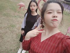 -玫瑰海岸文化旅游度假区