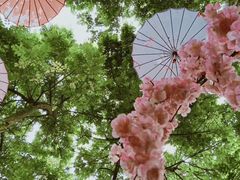 -海口观澜湖火山温泉谷