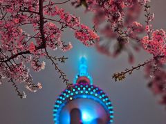 -东方明珠广播电视塔