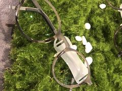 -大视光学•LINDBERG林德伯格•全球手工眼镜集合店(王府井店)
