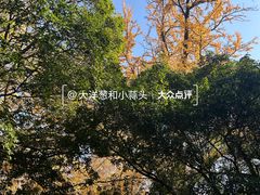 -灵谷景区