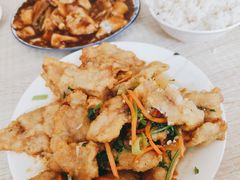 -金鹏鱼肉馆