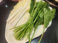 -芦月轩羊蝎子(劲松店)