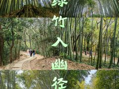 -西湖风景区十里琅珰-五云山