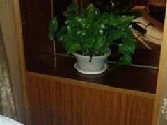 包房-静 泰养生(黄金城道店)
