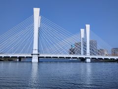 -北龙湖湿地公园
