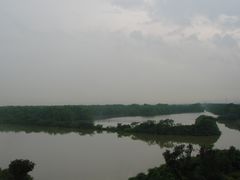 景点-大湾区中央湿地公园