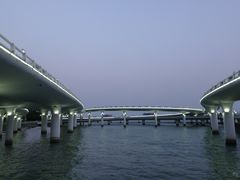 -演武大桥观景平台