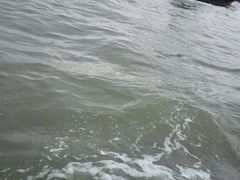 -日照世帆赛基地