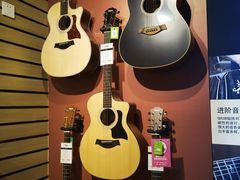 -柏斯琴行(汾阳店)