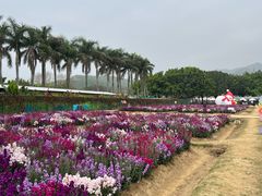 -盈香心动乐园