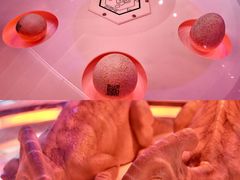 -侏罗纪世界电影特展(广州站)
