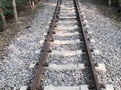 -西青郊野公园