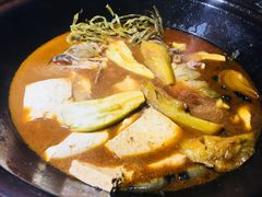 -肥鱼屯活鱼锅(惠工街店)