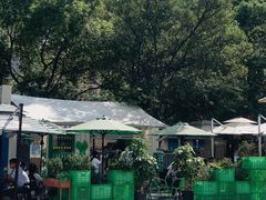 -ALPHA COFFEE阿尔法咖啡(虹泉路店)
