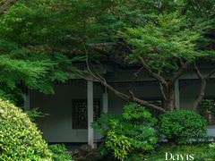 -杭州植物园