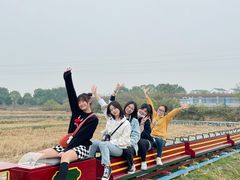 -武汉紫薇都市田园