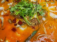 肥肠鱼-龙梅肥肠鱼(明瓦廊店)
