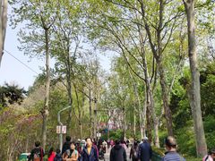 -西安市长乐公园