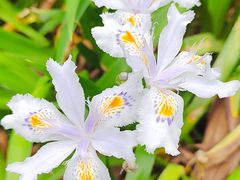 -唐城墙遗址公园