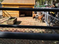 -长白岛森林公园