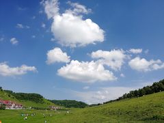 -关山草原