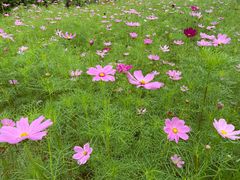 -福建鲤鱼洲酒店