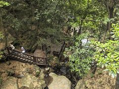 -莫干山风景区