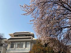 -秦始皇帝陵博物院(兵马俑)