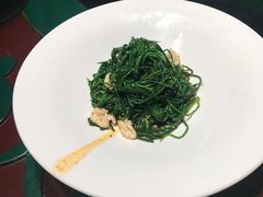 果仁爱沙葱-九十九顶毡房(阜石路店)