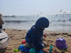 -老虎石海上公园