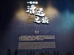 -隋唐大运河文化博物馆