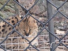 -大连森林动物园