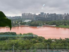 -广西体育中心-游泳馆