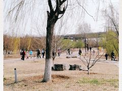 -永定河休闲森林公园